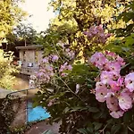Hotel-spa Le Moulin De - Strasbourg Nord Hotel La Wantzenau