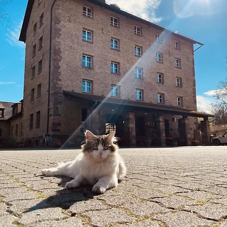Hotel-spa Le Moulin De - Strasbourg Nord Отель 4*