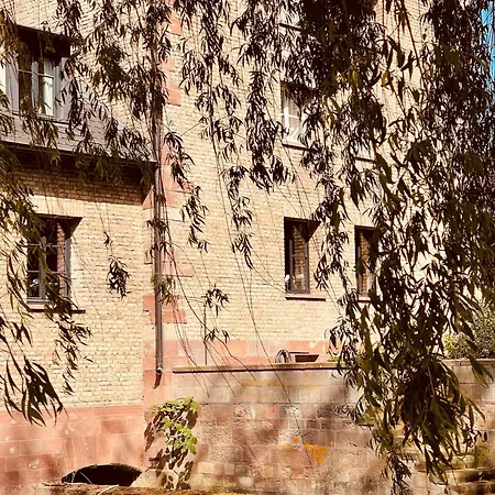 Hotel-spa Le Moulin De - Strasbourg Nord Отель Ла-Ванзено