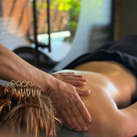 Hotel-spa Le Moulin De - Strasbourg Nord