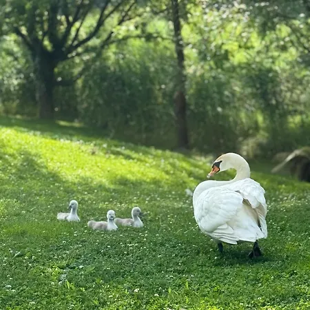 Hotel-spa Le Moulin De - Strasbourg Nord Hotel La Wantzenau