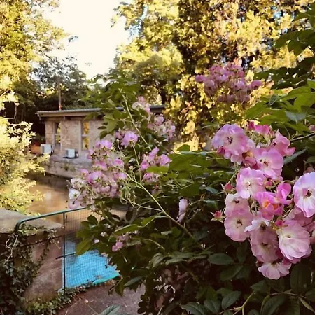 Hotel-spa Le Moulin De - Strasbourg Nord Отель Ла-Ванзено