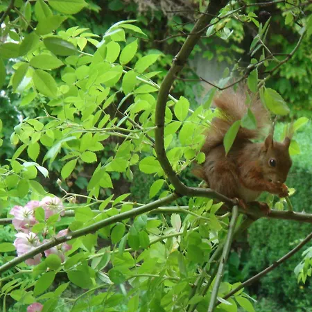 Hotel-spa Le Moulin De - Strasbourg Nord La Wantzenau