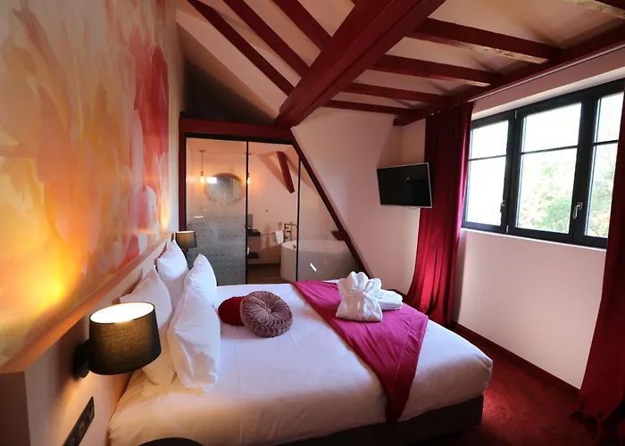 Hôtel-spa Le Moulin De - Strasbourg Nord Hotel La Wantzenau