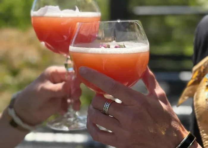 Hôtel-spa Le Moulin De - Strasbourg Nord 4* La Wantzenau