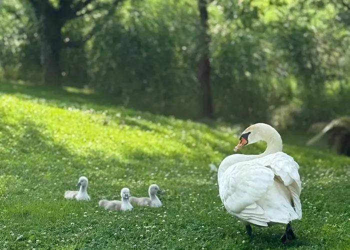 Hôtel-spa Le Moulin De - Strasbourg Nord Hotel La Wantzenau