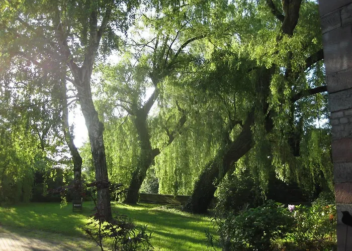 Hôtel-spa Le Moulin De - Strasbourg Nord Hotel La Wantzenau